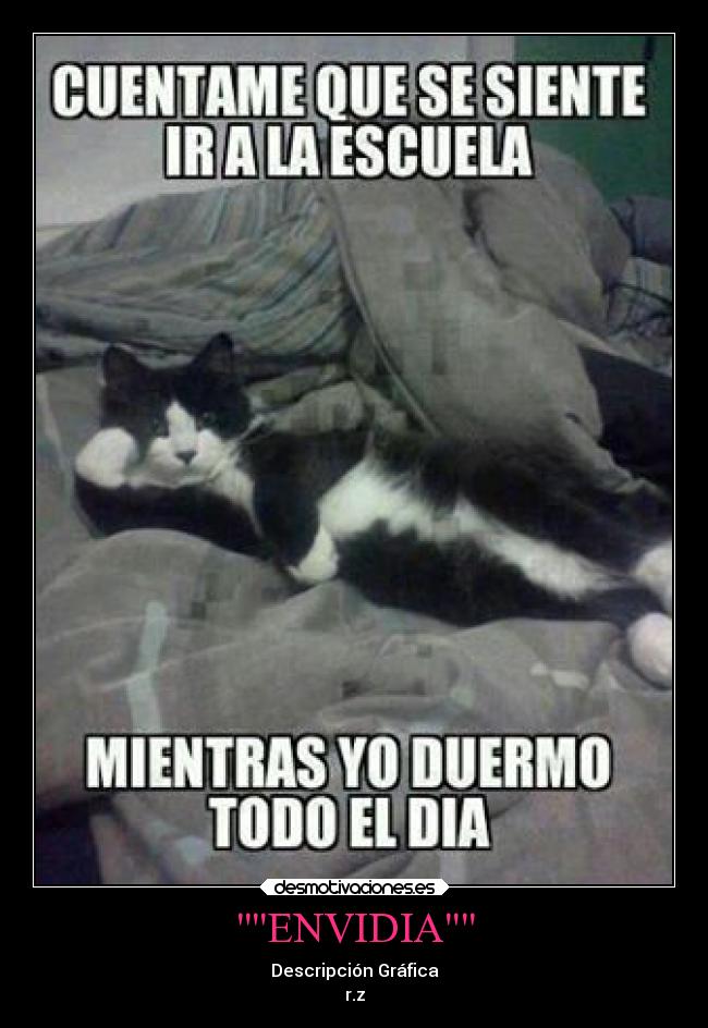 ENVIDIA - Descripción Gráfica
r.z