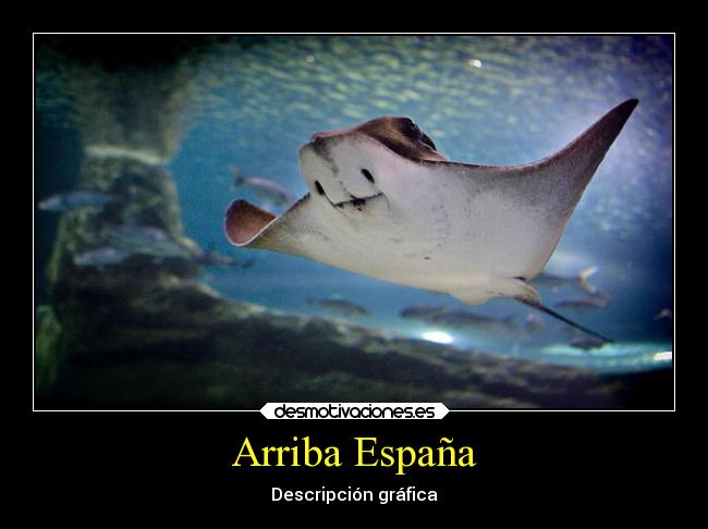 Arriba España - Descripción gráfica