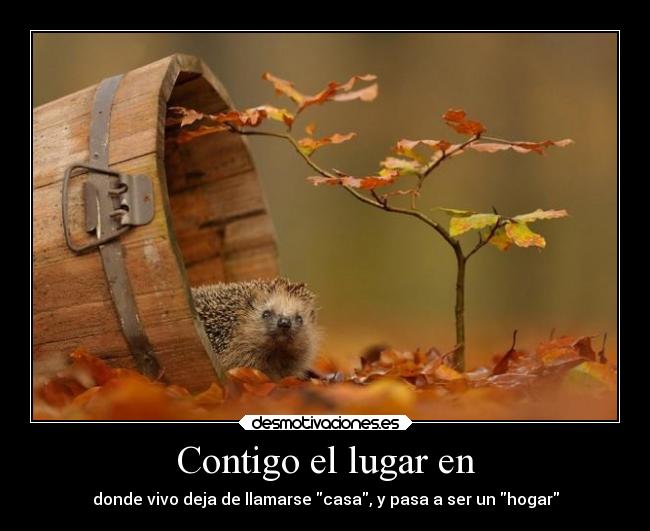 Contigo el lugar en - 