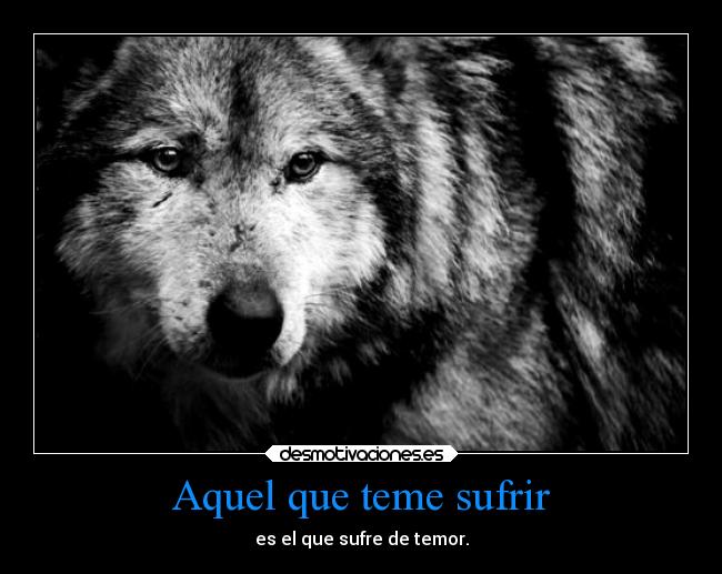 carteles frases 111alba lll lobos asdfghjk desmotivaciones