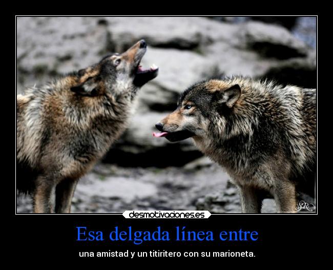 carteles frases lobo asdfghjkln iii 111alba desmotivaciones