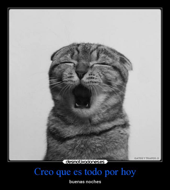 carteles gatos animales desmotivaciones