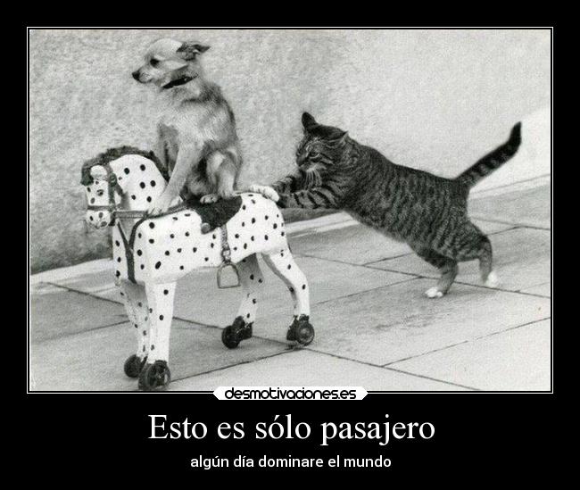 Esto es sólo pasajero - algún día dominare el mundo