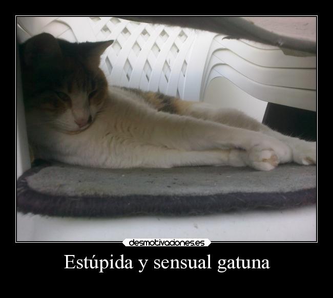 Estúpida y sensual gatuna - 