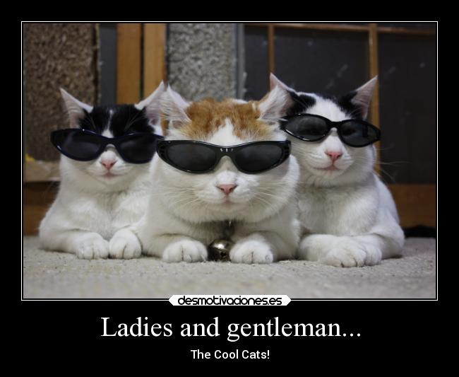 Ladies and gentleman... - The Cool Cats!