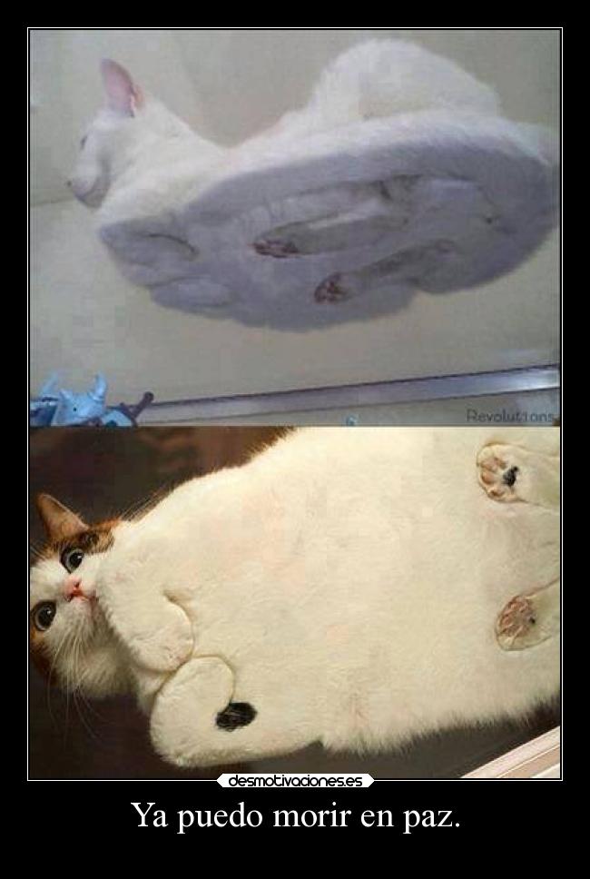 Ya puedo morir en paz. -