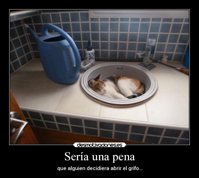 carteles gatos gata llama gatuna esta gorda desmotivaciones