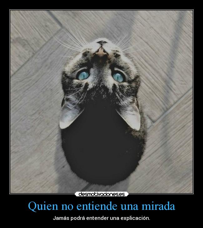 Quien no entiende una mirada - Jamás podrá entender una explicación.