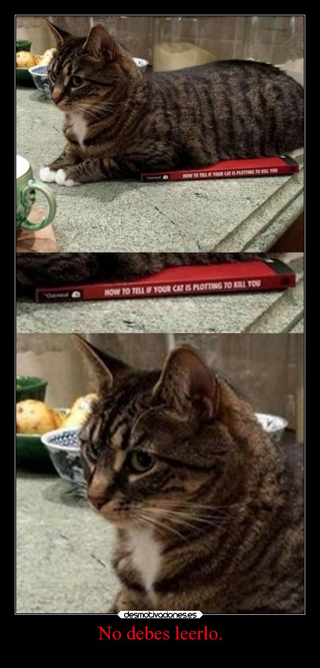 No debes leerlo. - 