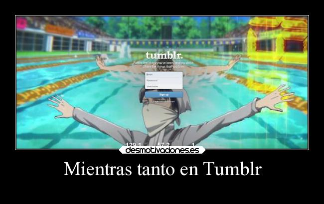 Mientras tanto en Tumblr - 