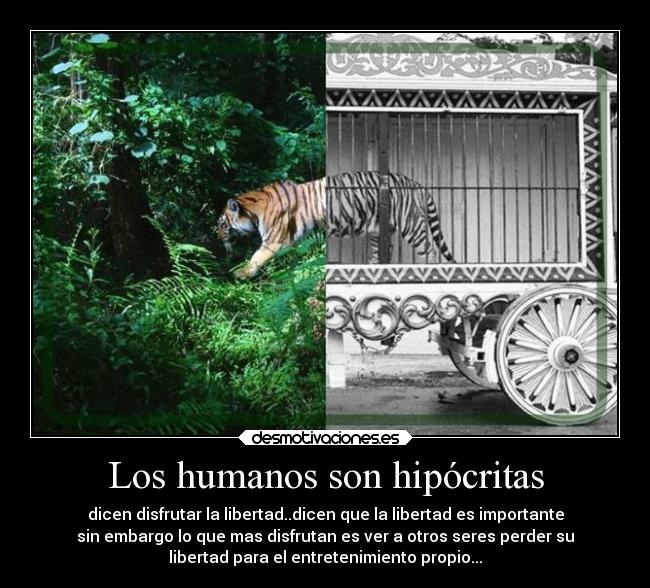 Los humanos son hipócritas - dicen disfrutar la libertad..dicen que la libertad es importante
sin embargo lo que mas disfrutan es ver a otros seres perder su
libertad para el entretenimiento propio...