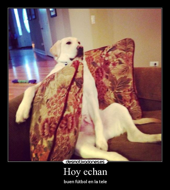 Hoy echan - 