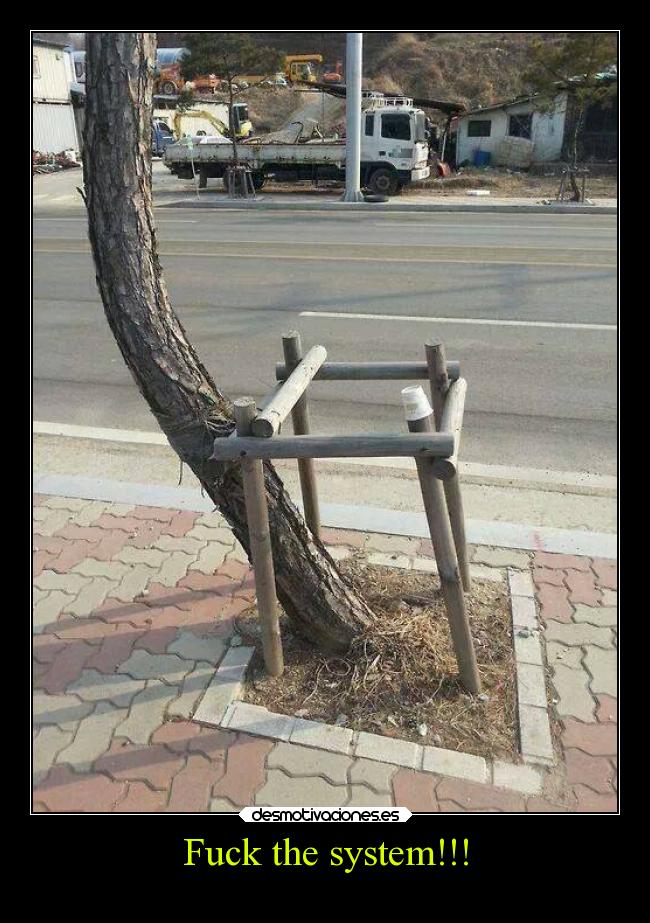 Fuck the system!!! - 