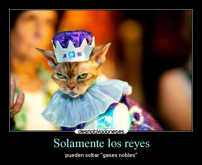 Solamente los reyes - 