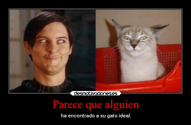 Parece que alguien -