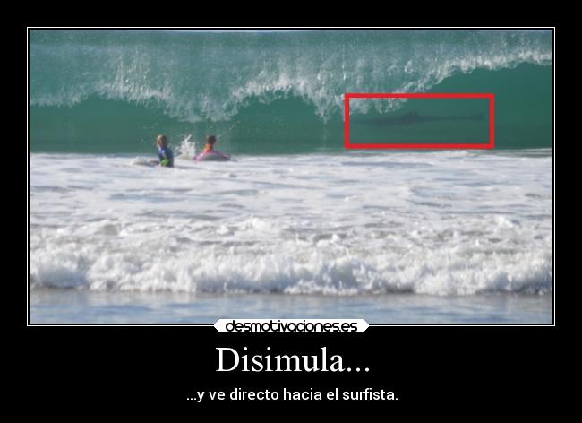 Disimula... - ...y ve directo hacia el surfista.