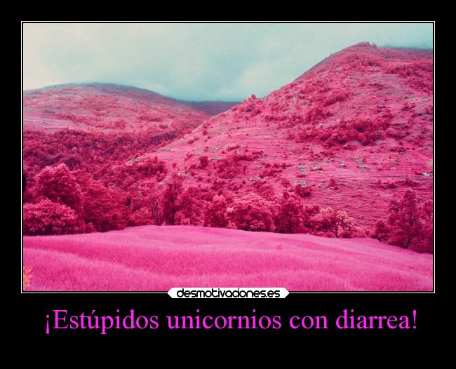 ¡Estúpidos unicornios con diarrea! - 