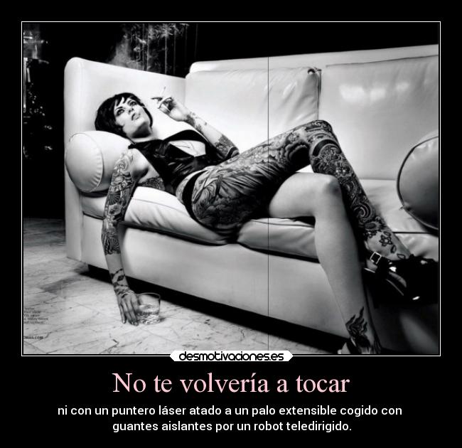 No te volvería a tocar - ni con un puntero láser atado a un palo extensible cogido con
guantes aislantes por un robot teledirigido.