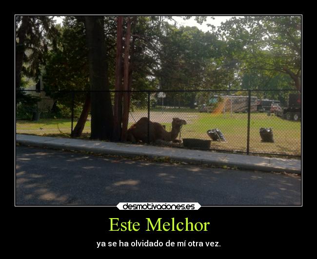 carteles humor desmofunny godricvampire666 unicorniosrosasyazules theinmortals desmotivaciones