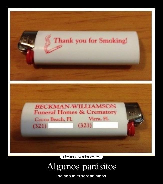 carteles humor desmotivaciones