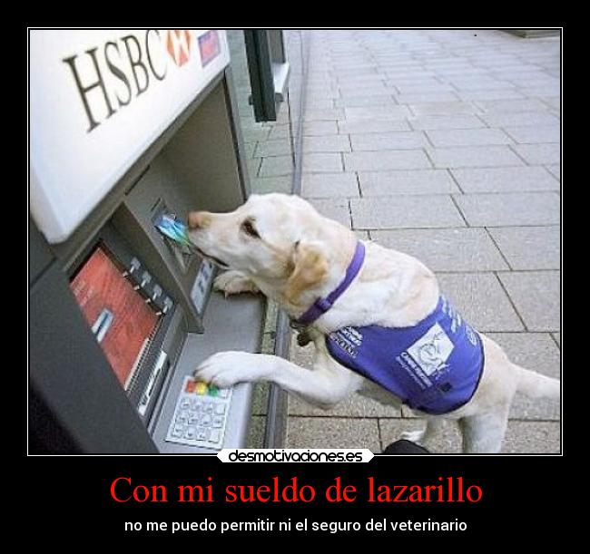 Con mi sueldo de lazarillo -