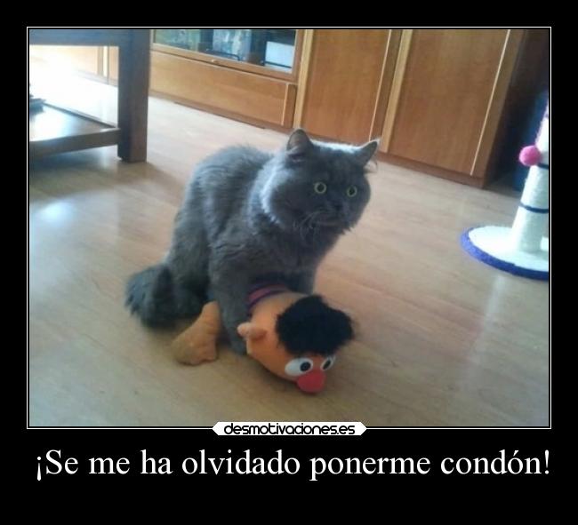¡Se me ha olvidado ponerme condón! -