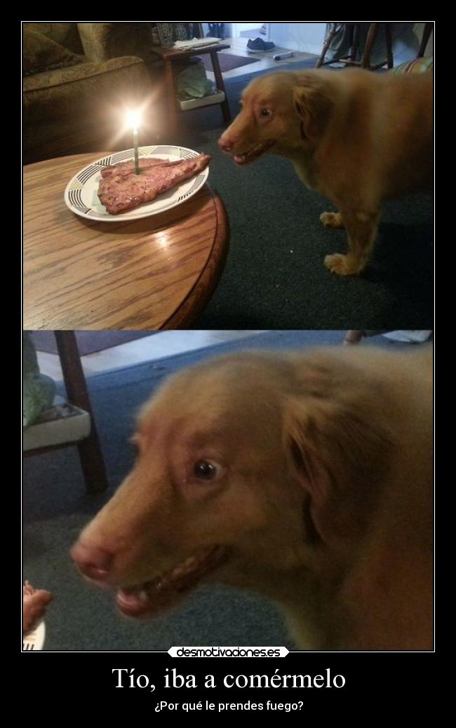 Tío, iba a comérmelo - ¿Por qué le prendes fuego?