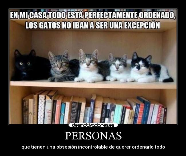 PERSONAS -