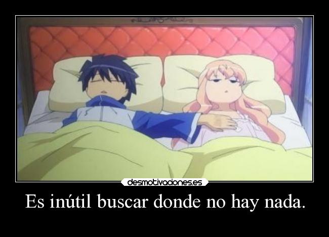 Es inútil buscar donde no hay nada. - 
