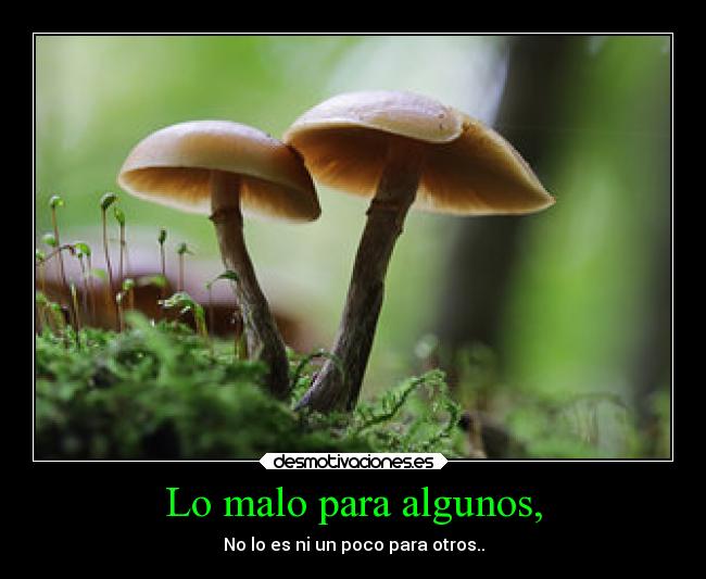 Lo malo para algunos, - No lo es ni un poco para otros..