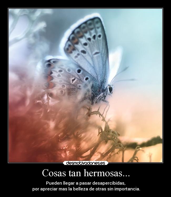 Cosas tan hermosas... - Pueden llegar a pasar desapercibidas,
 por apreciar mas la belleza de otras sin importancia.