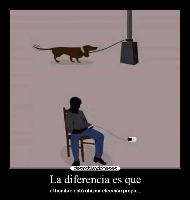 carteles ignorancia desmotivaciones realidad hombre perro tecnologia actualidad desmotivaciones