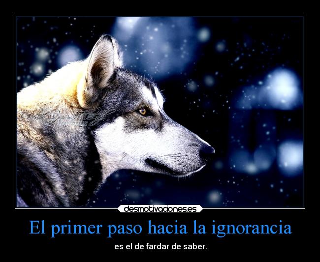 carteles ignorancia frases lobo asdfghjkln desmotivaciones