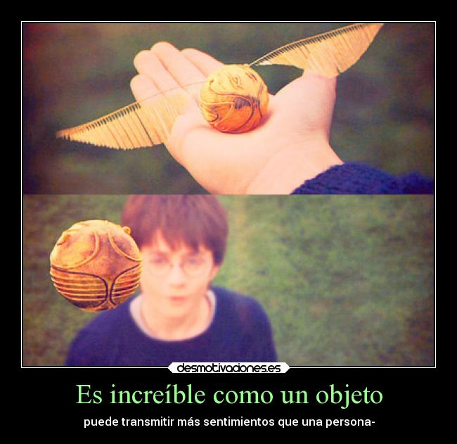 carteles ignorancia harrypotter vuelaaaaaaaaaaaaa mhmf desmotivaciones