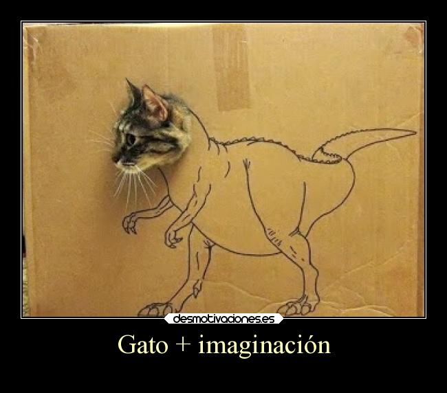 Gato + imaginación - 