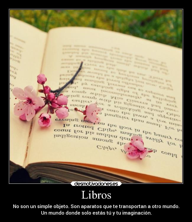 Libros - 