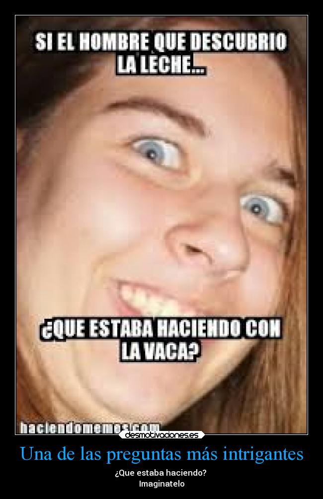 carteles imaginacion vaca hombre pregunta desmotivaciones