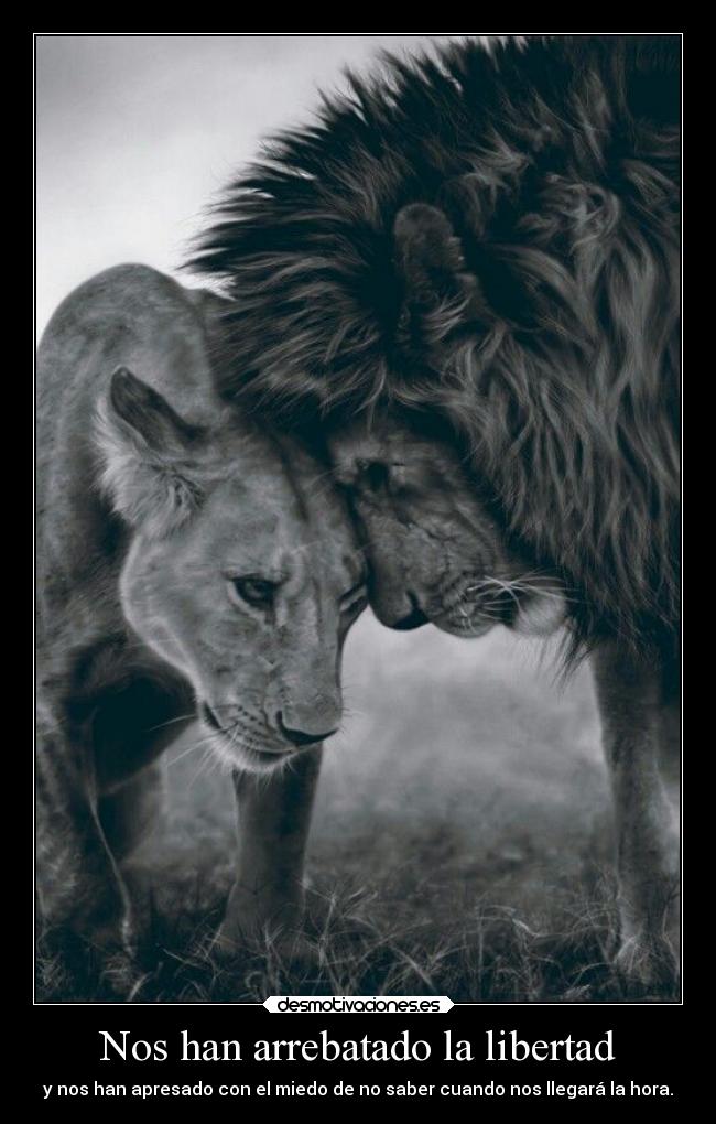 Nos han arrebatado la libertad - 