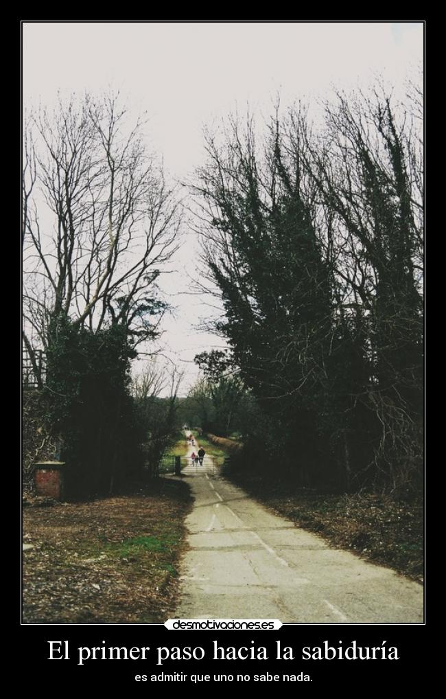 carteles libertad moernosdemierda sabios sabiduria pensamiento desmotivaciones