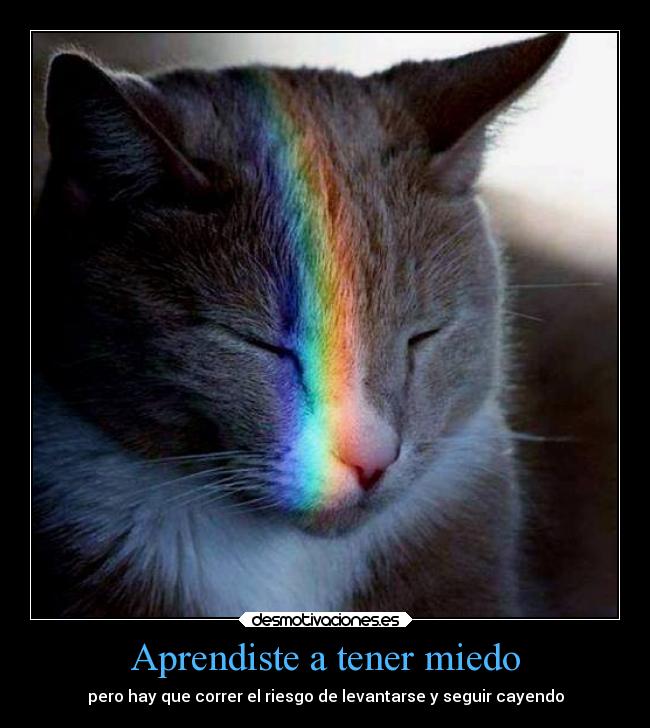 Aprendiste a tener miedo -