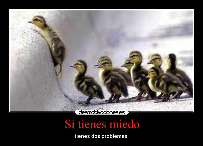 Si tienes miedo - tienes dos problemas.