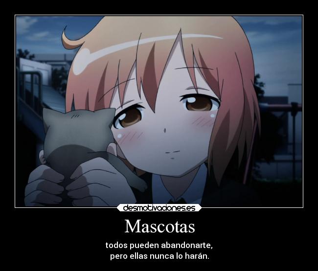 Mascotas -