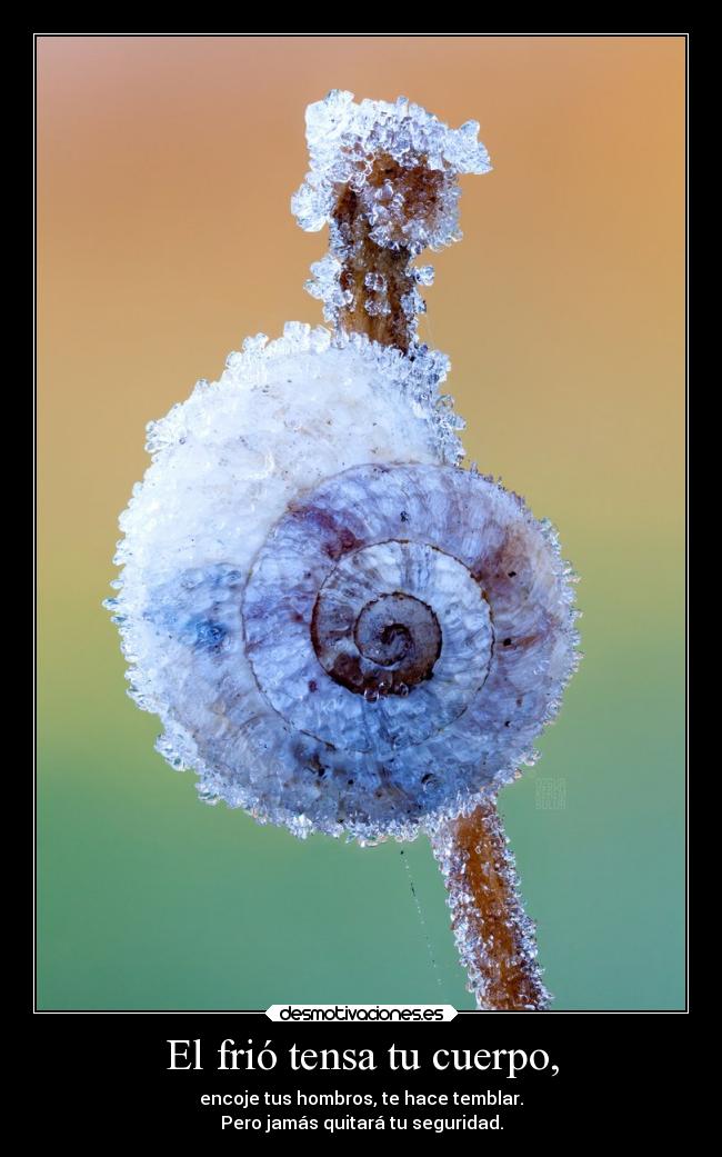 El frió tensa tu cuerpo, - encoje tus hombros, te hace temblar.
Pero jamás quitará tu seguridad.