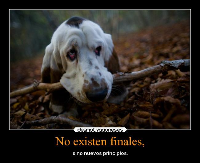 No existen finales, - sino nuevos principios.