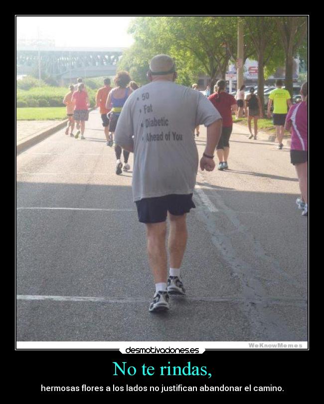 No te rindas, - hermosas flores a los lados no justifican abandonar el camino.