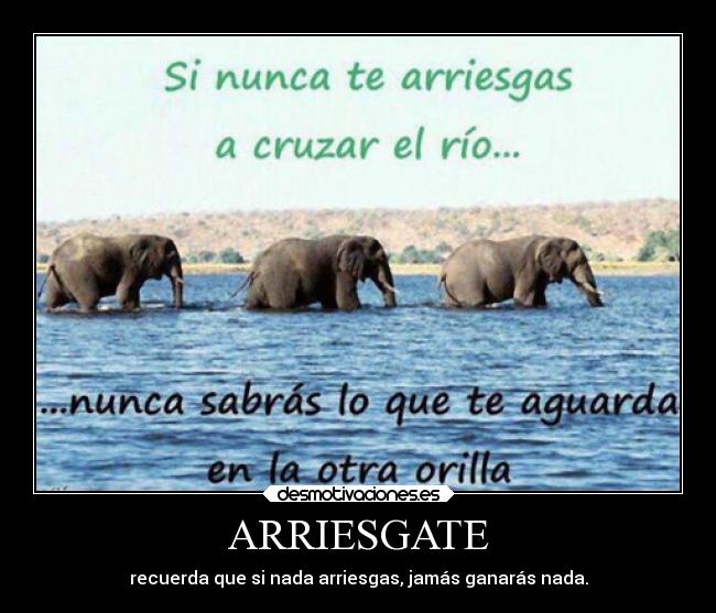 carteles motivaciones vida frases felicidad esperanza confianza ayuda desmotivaciones