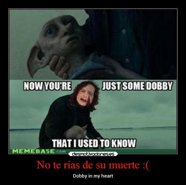 No te rías de su muerte :( - Dobby in my heart