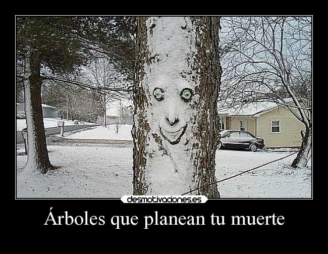 Árboles que planean tu muerte -