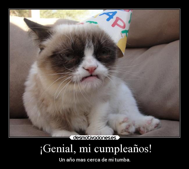 carteles muerte humor grumpy cat meme cumpleanos tumba ano ashirogimuto7174 desmotivaciones