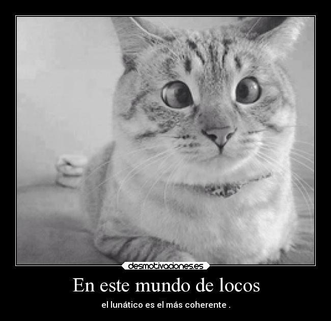 En este mundo de locos - el lunático es el más coherente .